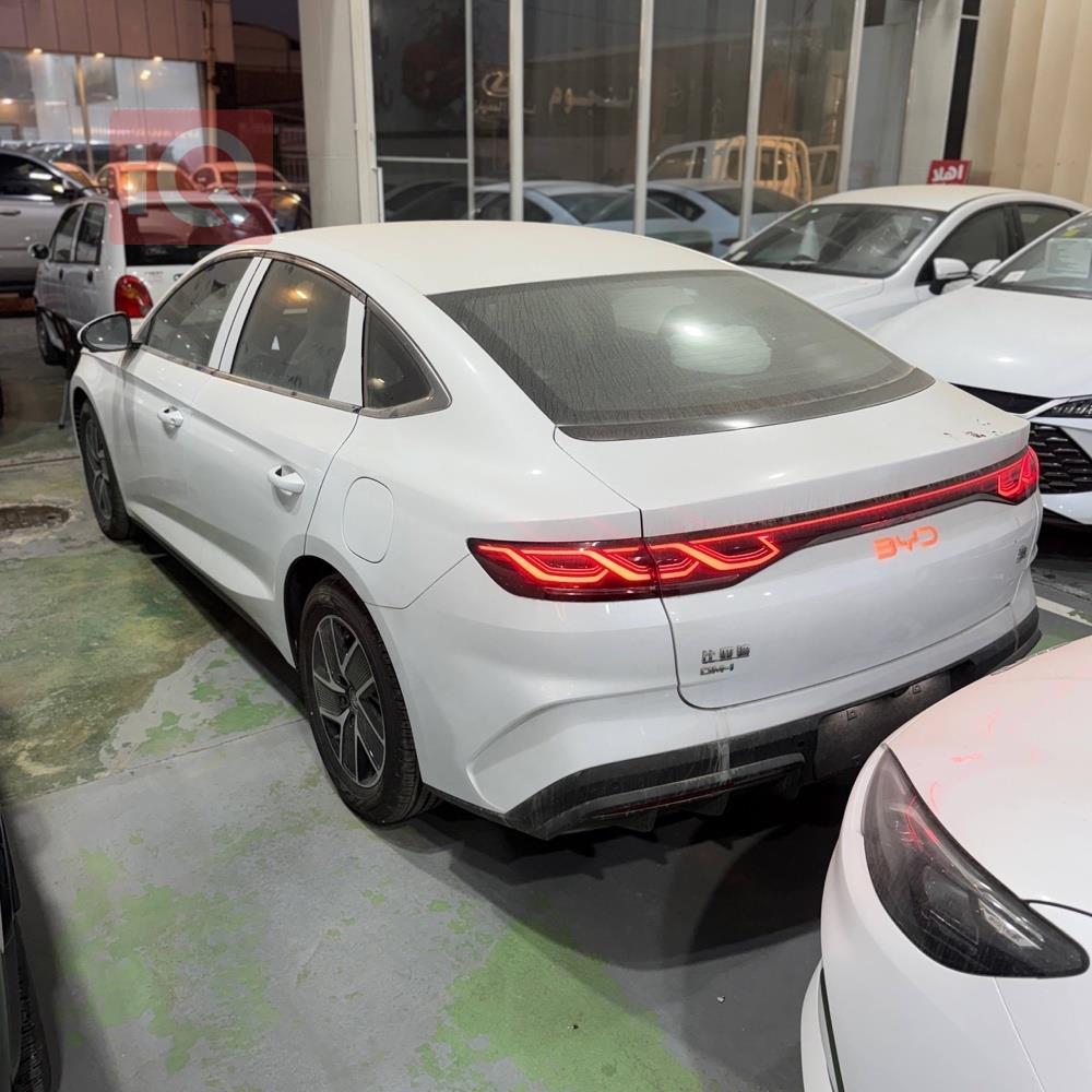 بي واي دي كوين L DM-i